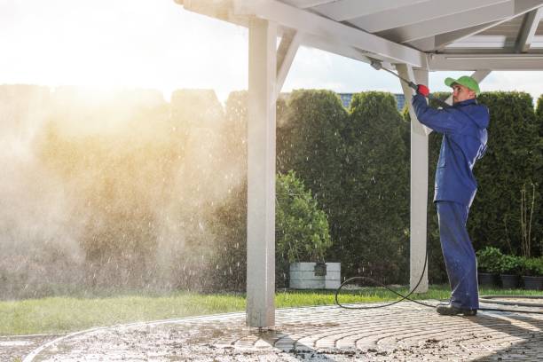 Pre-Holiday Cleaning in St Louis, MI