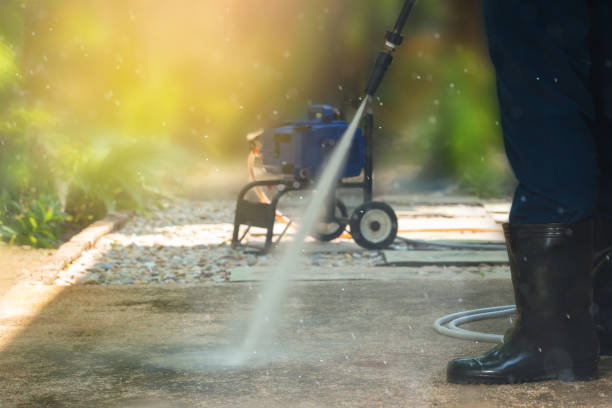 Best Driveway Pressure Washing  in St Louis, MI